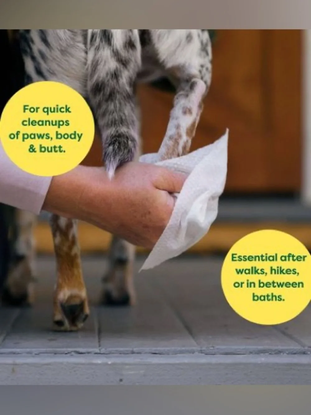 Dog Wipes